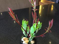 -羡餐厅·杭帮菜·淳菜(千岛湖自由洲际殿店)