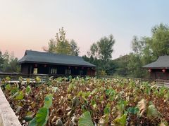 -溱湖国家湿地公园