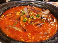 -川堂风·跷脚牛肉·乐山爆炒(宝山日月光店)