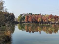 -梁鸿国家湿地公园