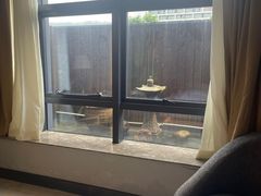 -大梅沙游艇度假酒店