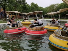 -上海海湾国家森林公园