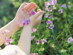 -蜀冈西峰生态公园