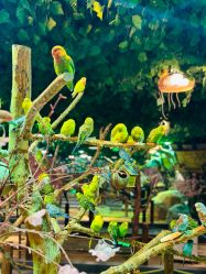 -酷嗒动物文化乐园(cutezoo西溪乐天城店)