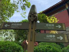 -丰都鬼城名山景区