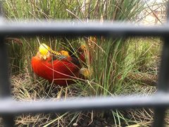 -祥源·阜阳生态乐园