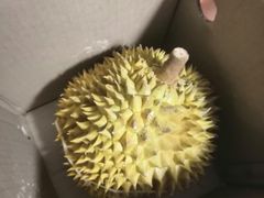 -盒马鲜生(宝地店)