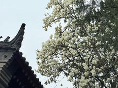 -湘子庙