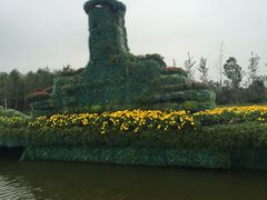 -杭州湾海上花田景区