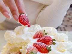 -Dark Horse·黑马蛋糕·低脂·低糖淡奶(金匙望湖大厦店)