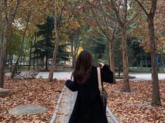 -山东艺术学院(长清校区)