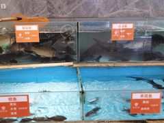 水产区-饭怕鱼(阳光100店)