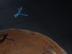 -元白和创园展厅