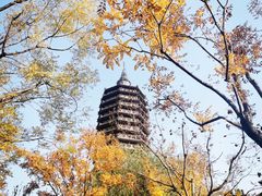 -西海子公园