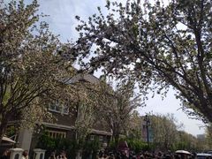 -天津五大道文化旅游区