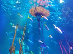 -沈阳海洋探索中心