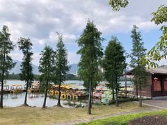 -飞来湖湿地公园