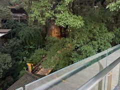 -巴倒烫陆派火锅山庄(南山总店)