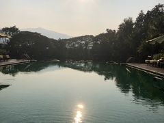 -四季酒店下午茶