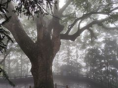-安溪清水岩