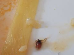 -粤仔湾砂锅粥(阳光店)