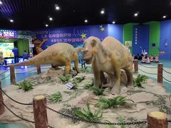 -世界恐龙谷景区