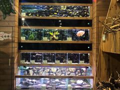 -龟与熊猫宠物公园(南坪店)