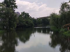 -洋湖国家湿地公园