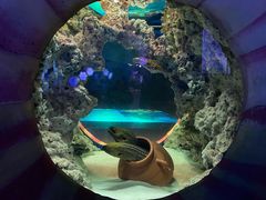 -海合安武汉极地海洋公园