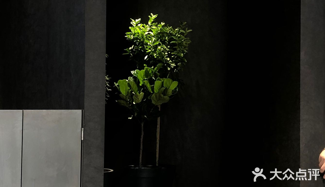 好多漂亮妹子在拍照。门口有位置，坐着挺惬意的