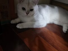 -Together·泰式按摩精油SPA(天山店)