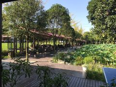 -洪湖家庭农场·团建·露营·会议