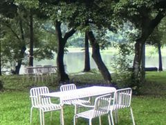 -南宁良凤江国家森林公园