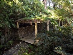 景点-银湖山郊野公园-相思林