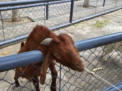 -长白岛森林公园