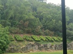 -深圳国际园林花卉博览园