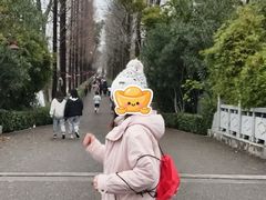 -洋湖国家湿地公园