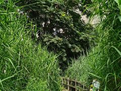 -成都市活水公园