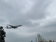 -空港花田景区