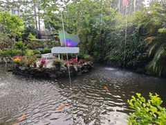 -花溪雨·森林餐厅(石基店)