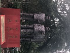 -缙云山景区