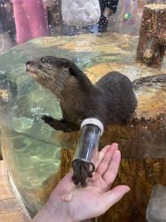 -Zoolung Zoolung动物主题公园(海信广场店)