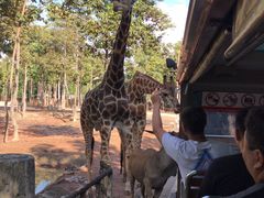 -清迈夜间动物园