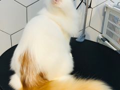 -萌兽医馆·眼科·异宠专科(三里屯店)