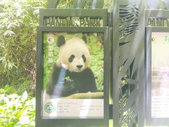 -成都动物园