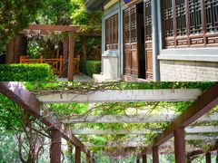 -龙口南山旅游景区