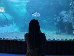 -左海海底世界
