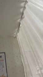 -程氏苗堂苗技养生