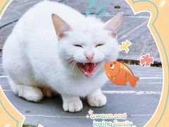 -敬亭山风景名胜区