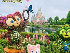 -上海迪士尼度假区